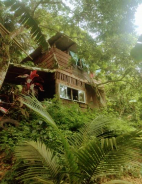 Cabana Ecológica Trindade Paraty